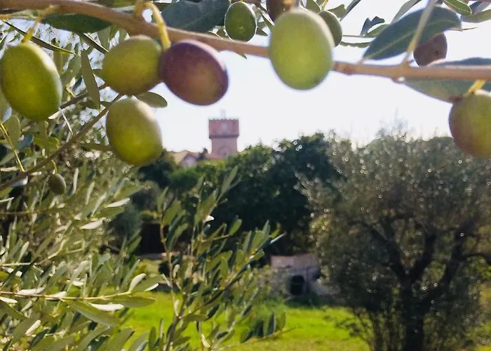 La Lanterna Bed & Breakfast Avigliano Umbro